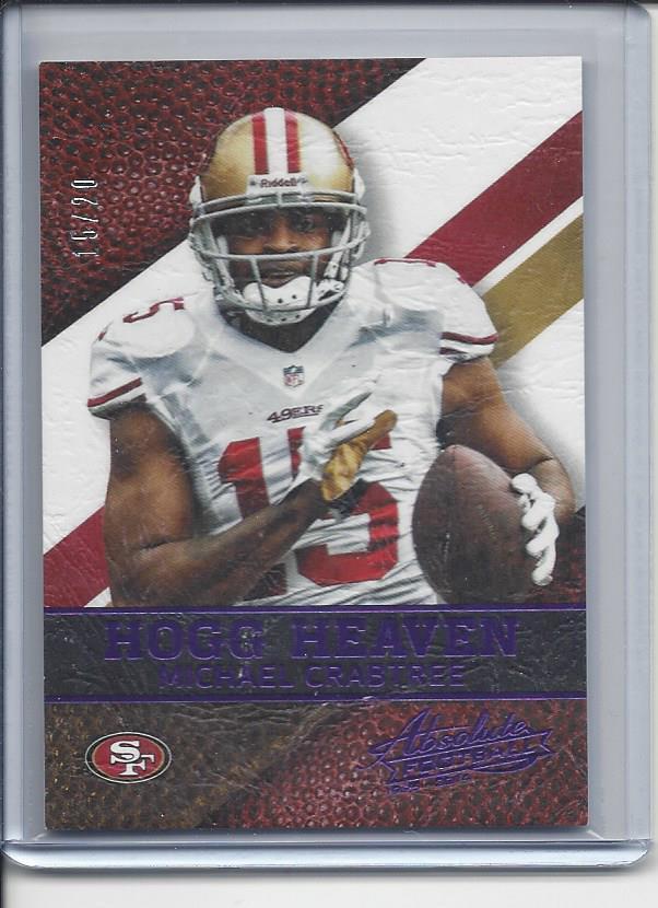 1/1 MICHAEL CRABTREE 2014 ABSOLUTE HOGG HEAVEN PURPLE #D 15/20 JERSEY #15!