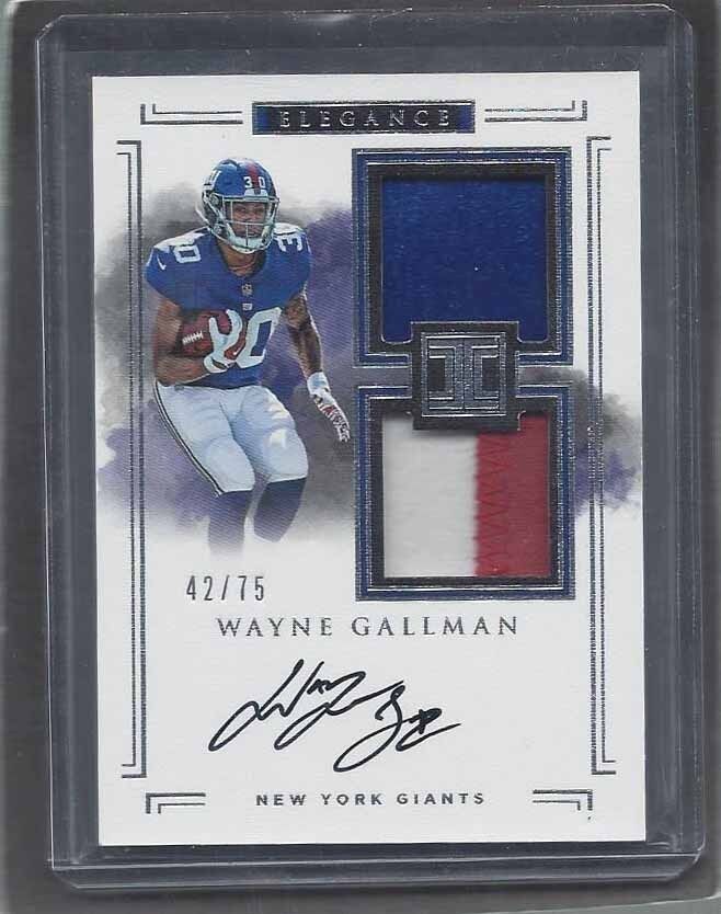 WAYNE GALLMAN 2017 IMPECCABLE ELEGANCE RPA DUAL PATCH HELMET AUTO RC #D 42/75