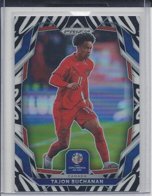 TAJON BUCHANAN 2024 PANINI PRIZM COPA AMERICA ZEBRA PRIZMS CANADA SSP #172